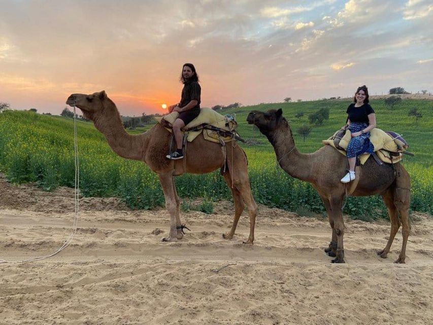Jodhpur: Overnight Stay in Desert with Camel Safari - Marwari food cooked over an open fire