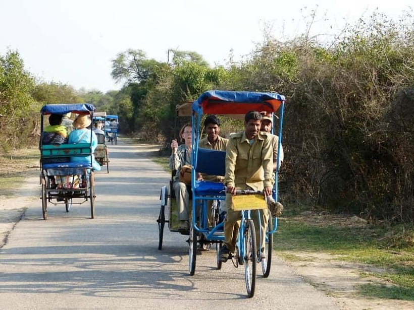 Keoladeo National Park Tickets and Guided Tour - Why Keoladeo is worth three hours