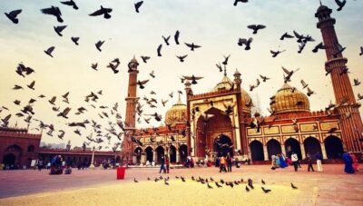 Akshardham Temple Tour with Water and Light Show