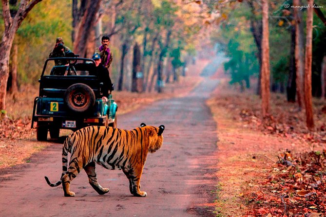 One Way Transfer Jaipur to Sawai Madhopur Hotels In AC Vehicle - The three-hour route and its flexible stops