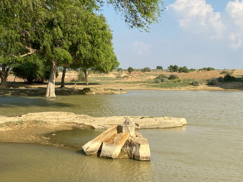 Overnight Adventure Safari by Wonbin Safari - A campfire dinner with Rajasthani food