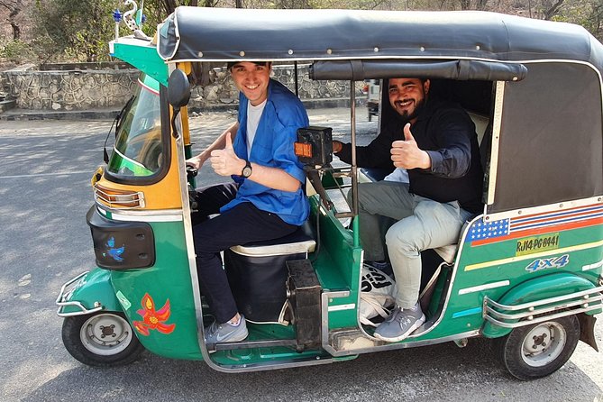 Pink city private Day Tour by Tuk Tuk with English speaking driver.. - Starting with Amber Palace and the hill forts