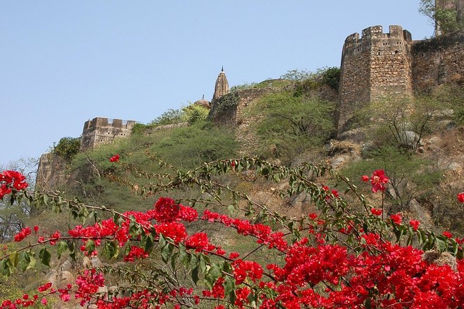 Private 6 Hours: Jaipur Temples Tour - Key points about Jaipur’s five-temple route