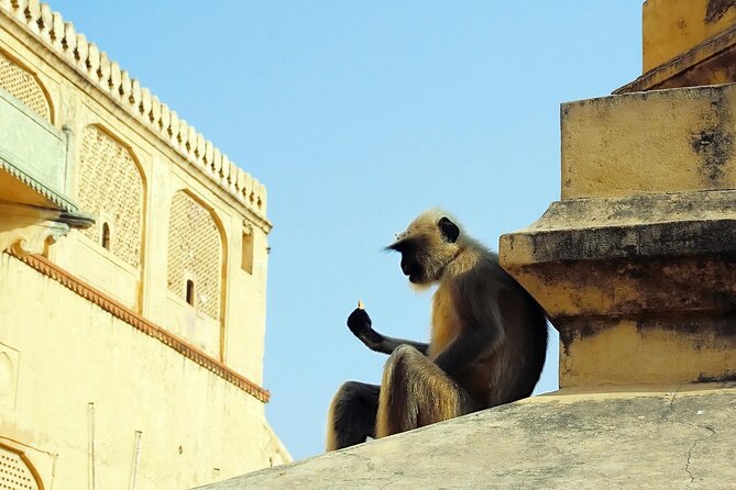 Private Day Tour of Jaipur with a Guide and Including Lunch - City Palace ties Jaipur’s styles together