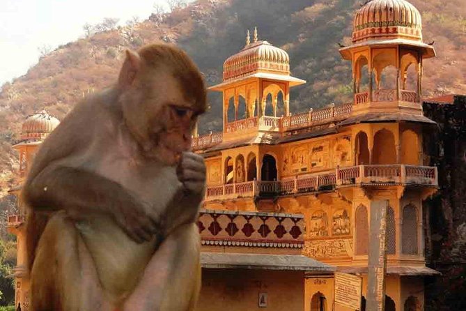 Private Day Trip to Abhaneri Stepwell & Monkey Temple from Jaipur - Reading the design at Abhaneri Stepwell
