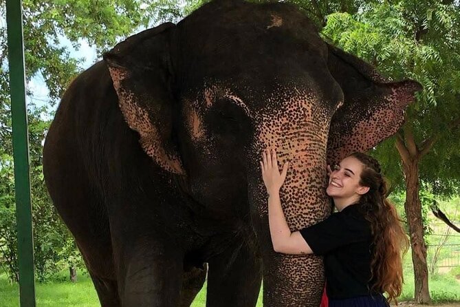 Private Elephant Sanctuary - Elephant Welfare and the Sanctuary’s Mission