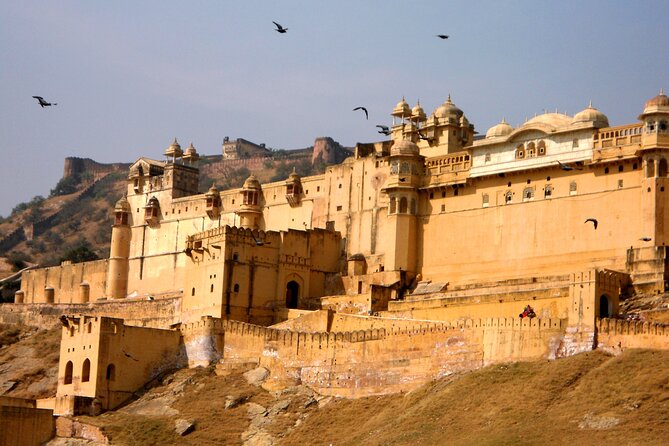 Private Full Day Tour of Jaipur - Jal Mahal: A Short Lakeside Pause