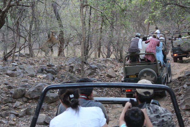 Private Full Day Trip to Ranthambore - Arriving at Ranthambore National Park around 12:30 p.m.
