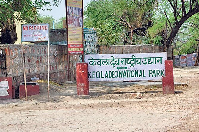 Private Keoladeo National Park Tour sightseeing - All Inclusive - A closer look at the park stop