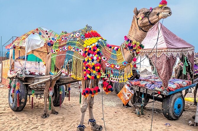 Private Same Day Trip to Pushkar from Jaipur - Camel Rides and the Desert Option