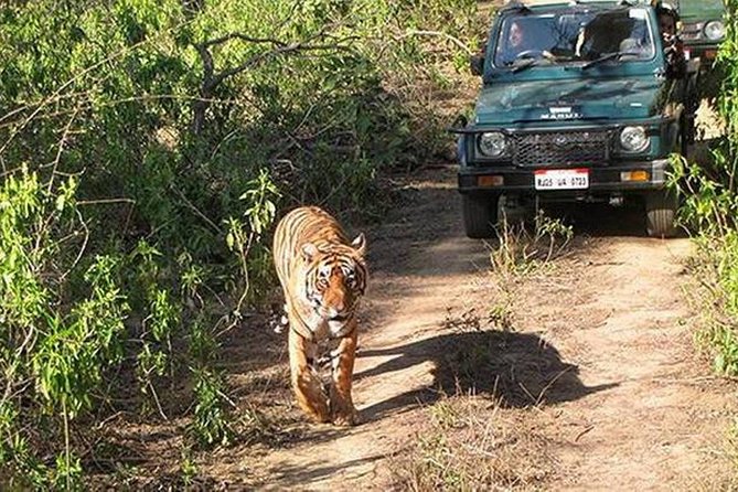 Private Tour to Sariska Tiger National Park by Car from Jaipur - Jaipur to Sariska, an early start with a long road ahead