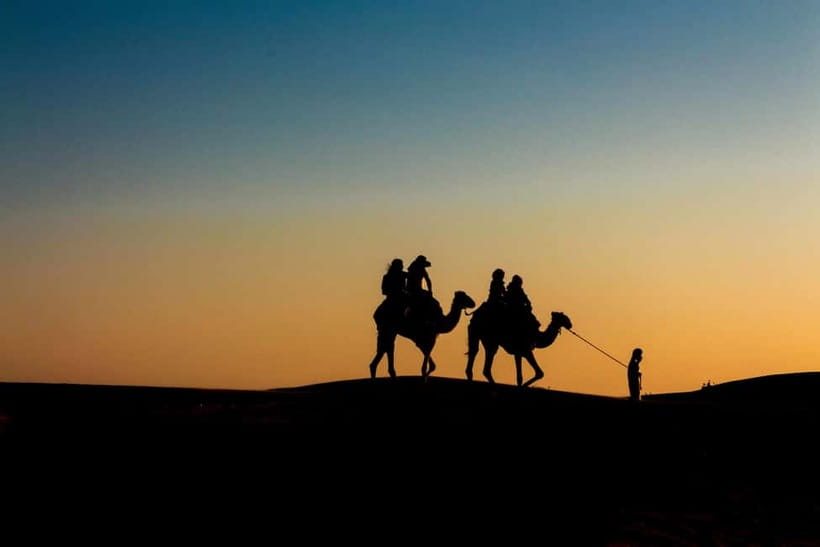 Pushkar: Camel Sunset Safari Adventure - Key points before you book