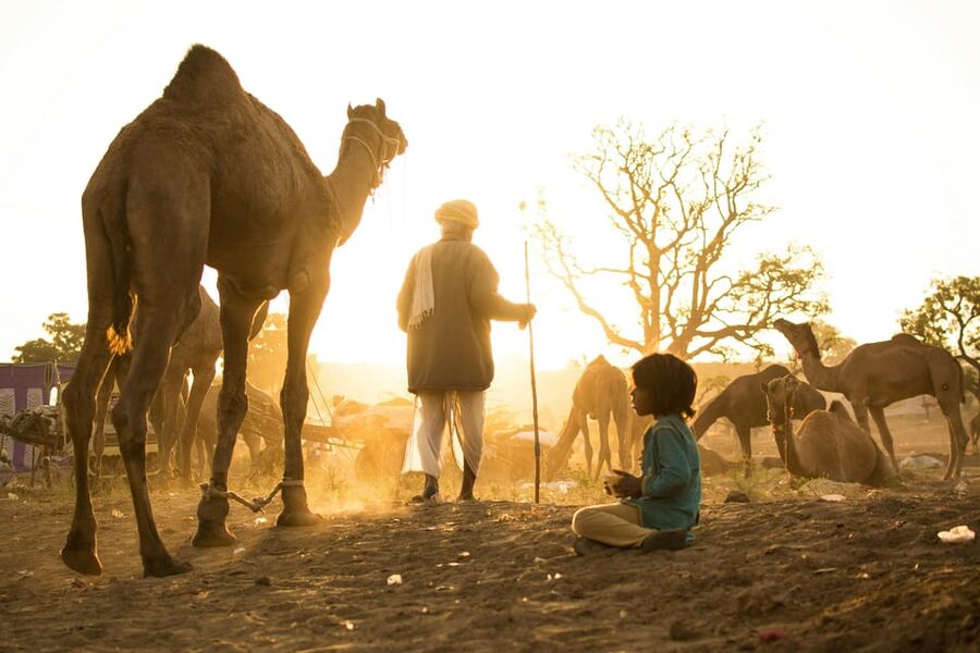 Pushkar: Camel Sunset Safari Adventure - Who will enjoy this two-hour outing