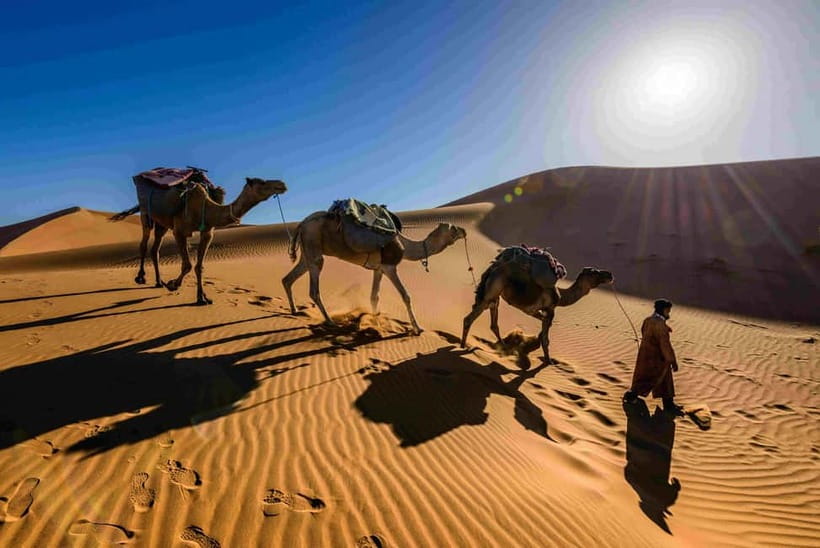 Pushkar: Camel Sunset Safari Adventure - What this Pushkar camel safari is really like