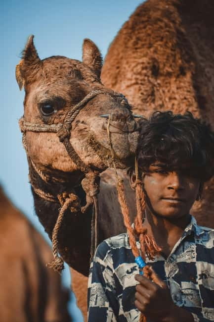 Pushkar: Camel Sunset Safari Adventure - The guide and service can shape the evening