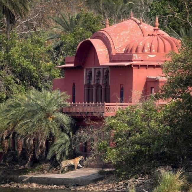 Ranthambhore: Ranthambhore Tiger Reserve Booking - A jeep safari with a fort in the background