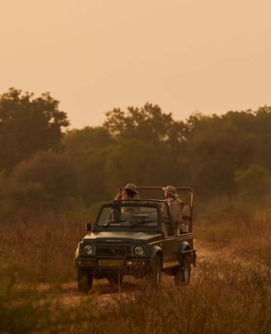 Ranthambhore: Ranthambhore Tiger Reserve Booking - Starting at Shiv Shankar Restaurant