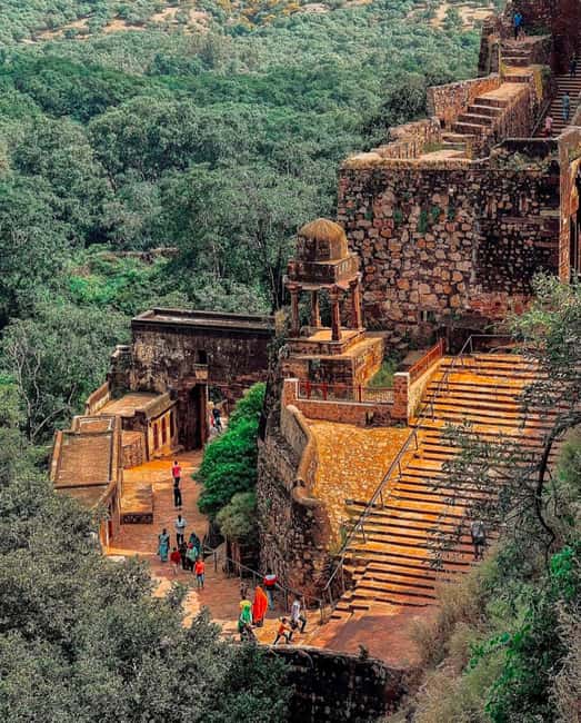 Ranthambore Fort and Ganesh Temple tour in a Jeep - What the national park adds to the visit