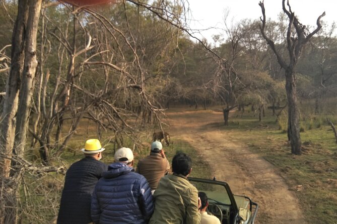 Ranthambore National Park - The guide can make or break the ride