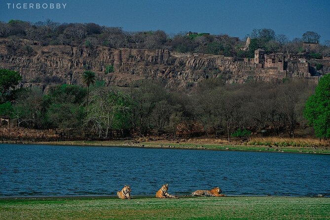 Ranthambore National Park - Is $34.96 a fair price?