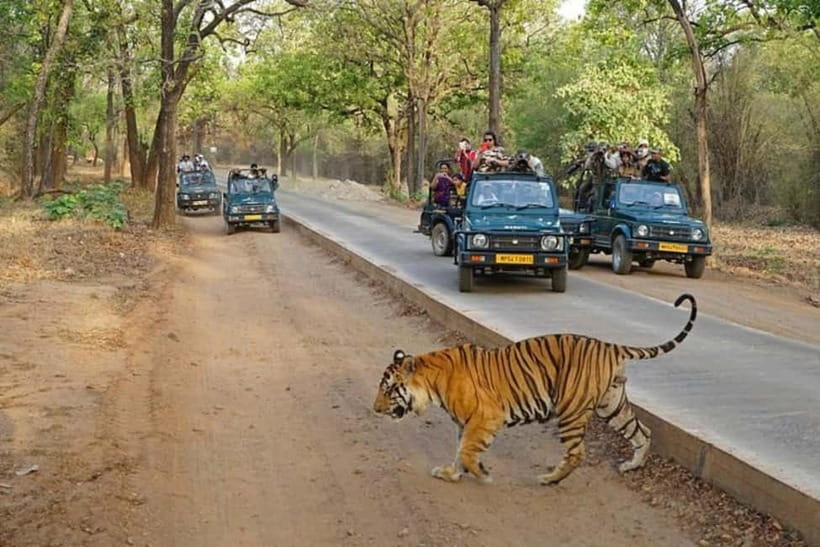 Ranthambore National Park: Jeep Safari from Sawai Madhopur - Entering a park built for patient watching