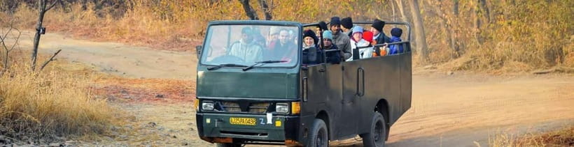 Ranthambore National Park: Safari Ticket with Pickup Option - Canter versus Jeep