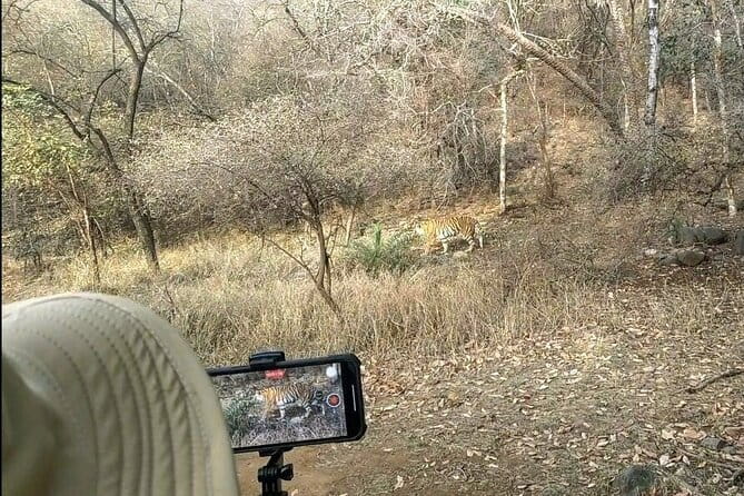 Ranthambore - Sharing Tiger Safari In Canter Or Gypsy Vehicle - Timing, Weather, and Booking Advice