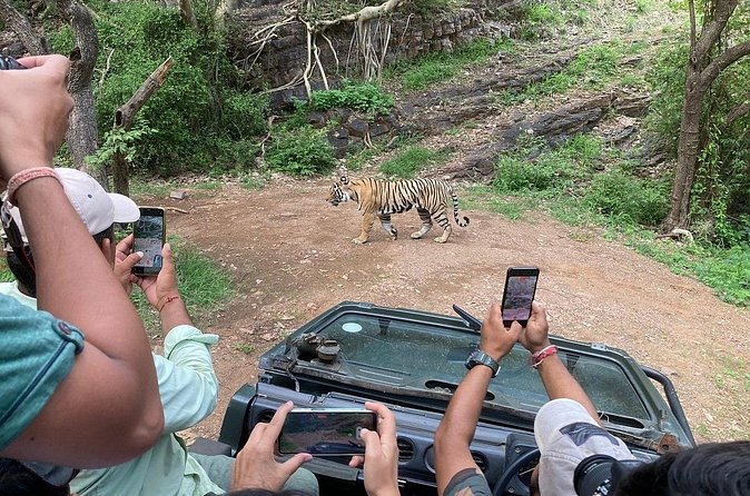 Ranthambore Tiger Reserve Private Gypsy Safari All inclusive - What is included, and what is not