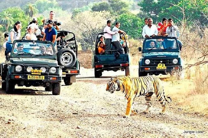 Ranthambore Wildlife Safari with Tickets & Transfer Options - Key points to know before you book