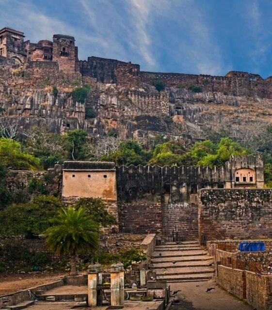 Ranthambore WildLife (tiger safari)Full Day Tour From Jaipur - Key points before you book