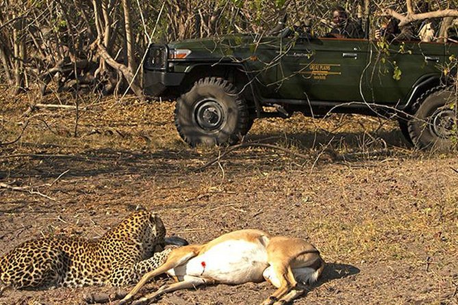 Safari In Jhalana Leopard Conservation Reserve, Jaipur - Why Jhalana is an unusual Jaipur safari