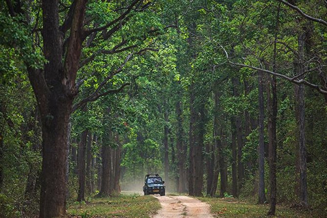 Safari In Jhalana Leopard Conservation Reserve, Jaipur - The morning drive from 6:45 AM to 9:30 AM