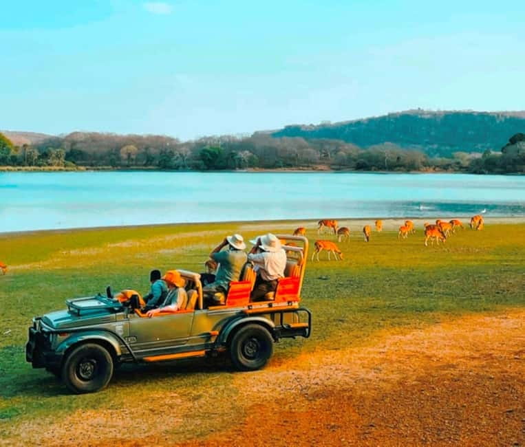 Sawai Madhopur: Ranthambore National Park Guided Jeep Safari - My verdict on the Ranthambore Jeep Safari