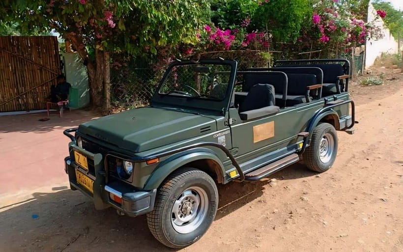 Sawai Madhopur: Ranthambore National Park Guided Jeep Safari - Lakes, birds, and smaller sightings