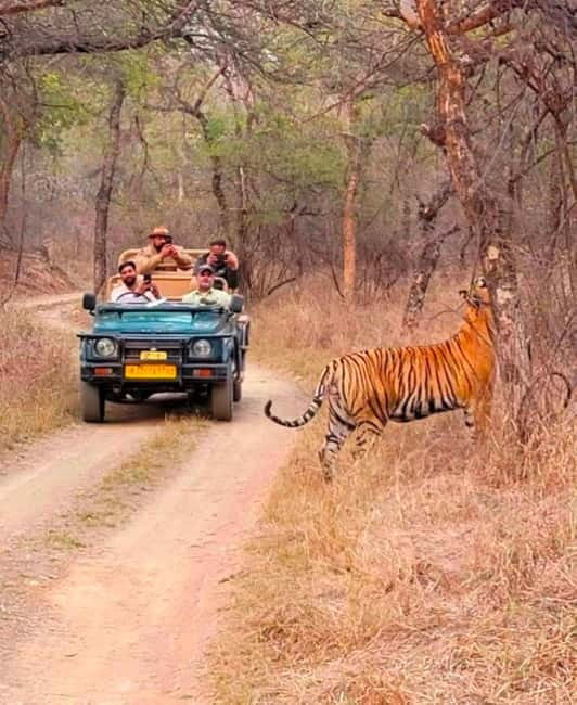Sawai Madhopur: Ranthambore National Park Guided Jeep Safari - Meeting point and what the $45 covers