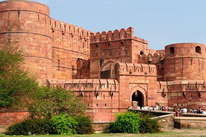 Skip The Line Taj Mahal, Agra Fort & Mehtab Garden Tour - Who should book this experience?