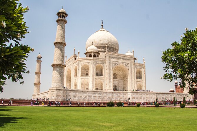 Skip The Line Taj Mahal and Agra fort Tour - Why the private guide changes the experience