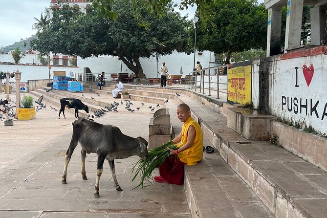 Spiritual City Walking Tour-THE Pushkar Route - Pushkar Lake and the sacred ghats