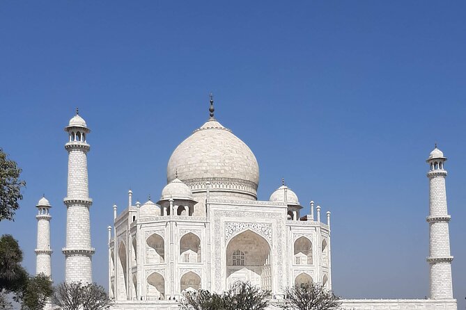 Taj mahal Private Tour with Entry Ticket and Guide - The atmosphere and pace of the visit