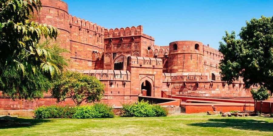 Taj Mahal Tour with Optional Wildlife Rescue Center Visit - Guides, languages, and the personal side of the tour