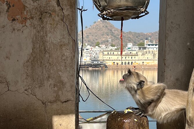 Temples Walk around 52 Ghats ( Spiritual Tour )-The Pushkar Route - Old Rangji Temple in the middle of town