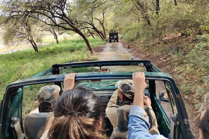 Tiger Safari in Ranthambore national park | Canter Options - How the shared canter compares with a private jeep