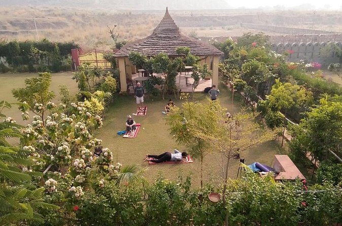 Yoga In Jaipur - Why the setting changes the experience