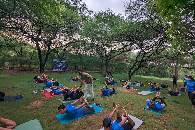 Yoga in Jaipur with Amit (Yogi on Travel) - What the Strong Feedback Tells You